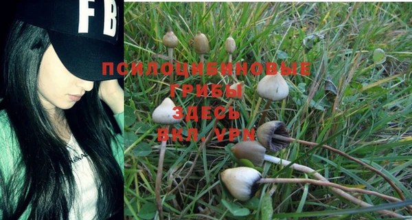 синтетический гашиш Балахна