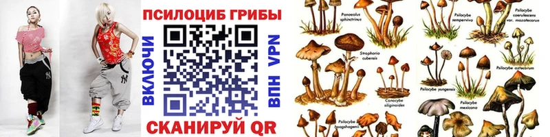 OMG онион  сайты даркнета телеграм  Галлюциногенные грибы GOLDEN TEACHER  Черноголовка 